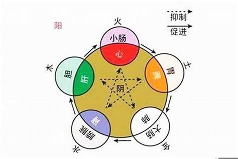 真 五行|[真]真字五行属性及含义和寓意